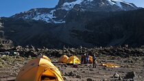 Kilimanjaro Full Day Trek Through Machame Route