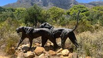 Cape Premier luxury Winelands tour up to 10 people