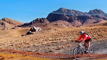 11 Days Uzbekistan Bicycle Tour