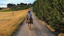Adventure on horseback in the Tuscan countryside
