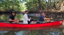 Private Wildlife Canoe Safari in the Mangrove forest.