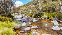 Snowy Mountains NSW Private Tour 3 Days - Pick up & Drop off