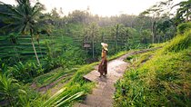 Experience Bali in 3 Days with Temples Beaches & Waterfalls