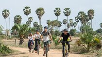 Guided Countryside Bike Tour with Local Insights