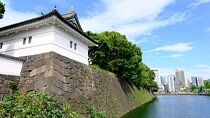 Tokyo Tour Imperial Palace, Sake, Robots, Gardens and Edo Museum