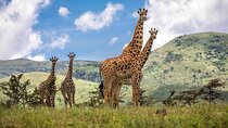 Full Day Excursion to Arusha National Park