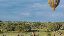 Three Days Elephant Trail Safari in Amboseli