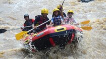 Bali White Water Rafting with Private Transfer and Lunch
