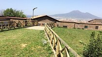 Stabia Villas & Oplonti & Museum Quisisana With Lunch Break