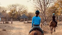 Horse Riding Community Village Tour, Overnight Experience