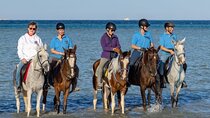 Horseback Riding Tour with Dinner from Hurghada