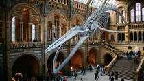 London: Natural History Museum Express Guided Tour & Audio Guide