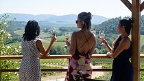 Chianti Wine Tour with 3 Wineries, Food Pairings and Tuscan Lunch