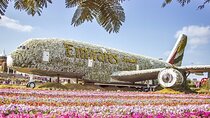 Dubai Miracle Garden Tickets with Round Trip Transfer
