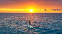 Sunrise Session - The #1 Paddleboard Tour On The Caribbean Sea