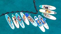Morning Session - All Levels Paddleboard Group Caribbean Sea
