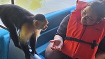 Monkey Island: The Wild Life Safari at Gatun Lake