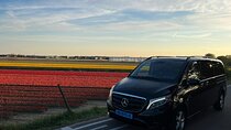 Amsterdam to Keukenhof Gardens Private Transfer by Luxury Minivan