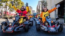 Official Japan Go-Kart Through Tokyo Bay / Ginza