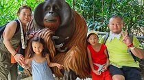 Orang Utan Island Day Tour (Bukit Merah)