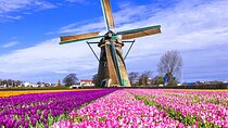 Keukenhof Tulips and Delft Tour from Brussels Full day