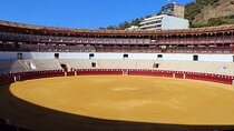 Tour of Malaga Bullring & Bullfighting Museum with Audioguide