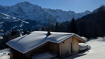 Full Day Luxury Private Tour in Swiss ALPS 