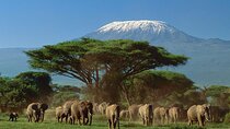 5 days Luxury Safari; Tsavo East, West, and Amboseli from Nairobi