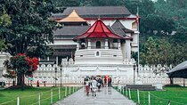 Kandy All Inclusive Day Tour from Colombo