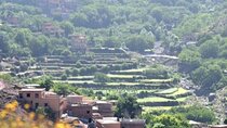 Atlas Tour: Imlil-Meals-Chameau Waterfall from Marrakech