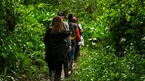 Explore Phuket Landmarks Private Tour with Rainforest Hike 