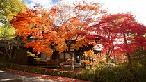 Half Day Walking Tour Takayama’s Hidden Gems and Temple Walk