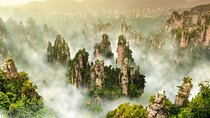 Full-Day Zhangjiajie National Forest Park Tour