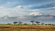 Mount Kilimanjaro 5-Day Guided Hike Marangu Route