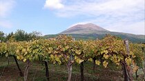 Pompeii & Vesuvius SkipTheLine Lunch and WineTasting from Rome