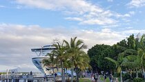 Cairns City Half Day Tour