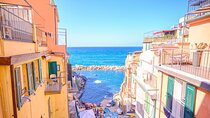 Cinque Terre Sea Park with Limoncino Tasting Day Trip from Milan