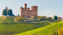 Barolo and Truffle Region Day Trip from Milan with Wine Tasting