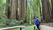 Half-Day Muir Woods & Sausalito Tour with Entry Ticket Included
