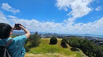 Auckland City Small Group Private Tour