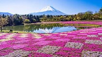 Mount Fuji and Hakone Private Tour by Car with Pickup from Tokyo