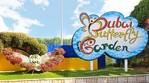 Dubai Butterfly Garden Entry Ticket Explore 15000 Butterflies