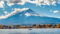 Mount Fuji and Hakone Private Tour with Pickup from Tokyo