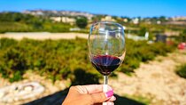 Local Wineries Tour with Wine Testing from Paphos