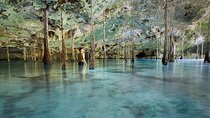 Private Cenote Experience, swim in the heart of the Mayan Jungle