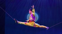 Red Theater Beijing Acrobatic Show Tickets Booking