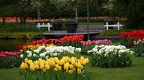 Keukenhof Gardens & Zaanse Schans 9 Hour Day Tour from Amsterdam