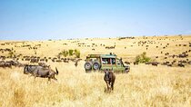 7-Day Safari Tour in Tanzania