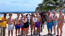 Private Horseback riding in the Ocean & Blue hole from Ochi Rios