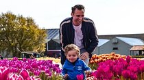 Lisse: Private family friendly Tulips Tour & Kids Activities